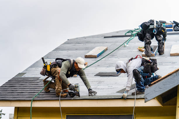 Professional Gutter Installation technician working in Lake Monroe, FL